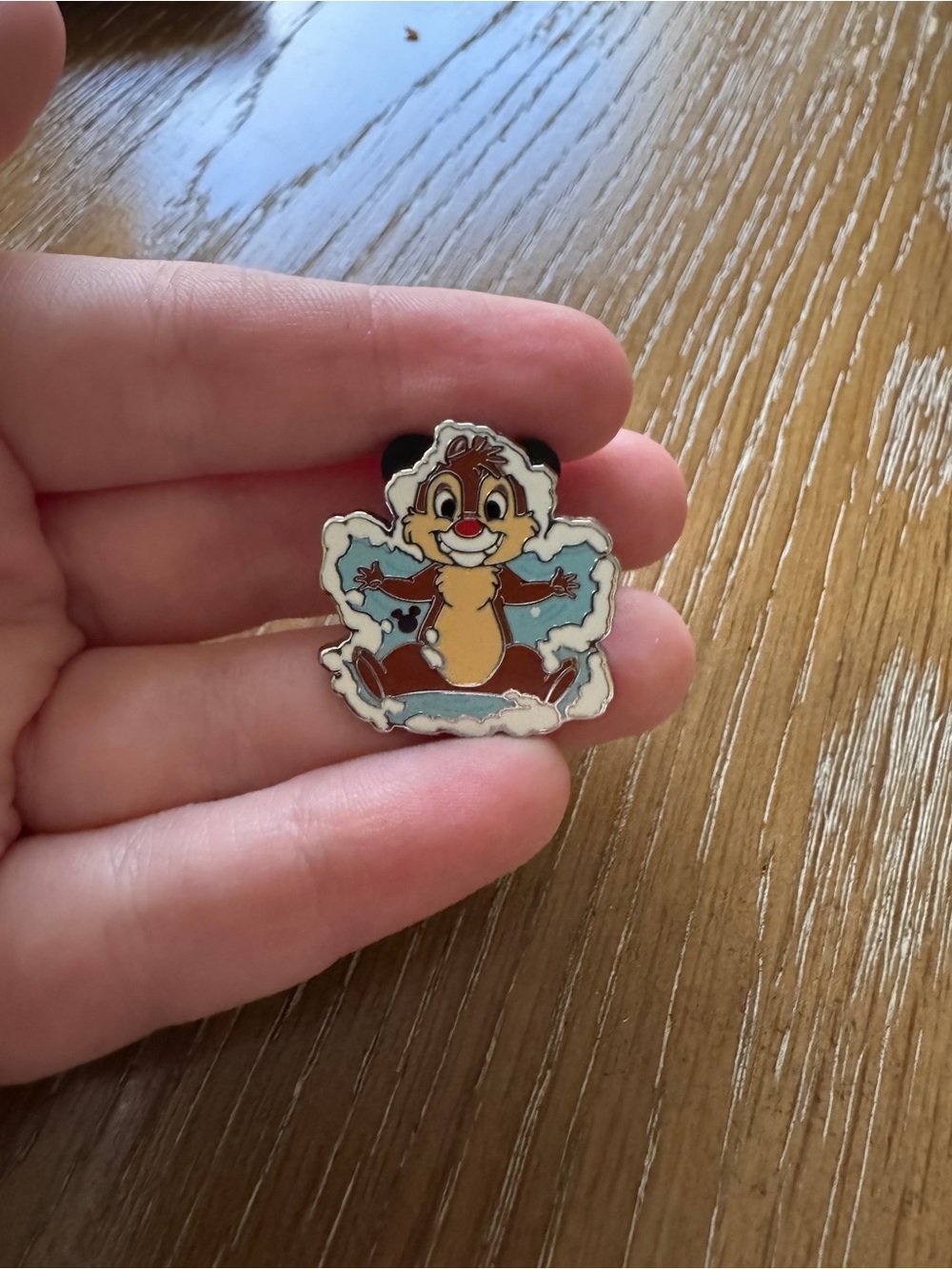 WDW Hidden Disney Pin - 2026 Wave A - Holidays - Winter